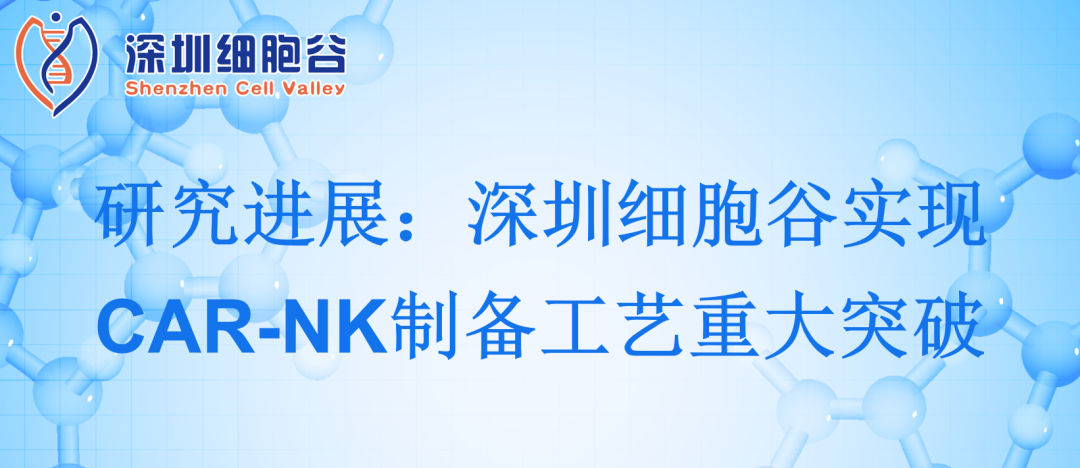 深圳金年会jinnian实现CAR-NK制备工艺重大突破
