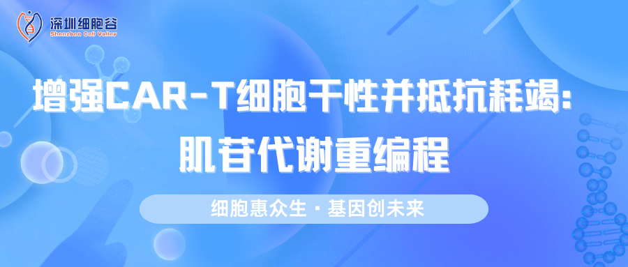 增强CAR-T细胞干性并抵抗耗竭：肌苷代谢重编程