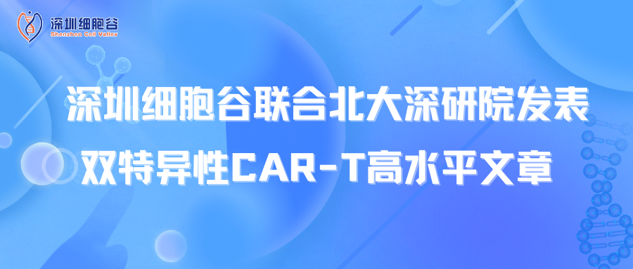 喜讯丨深圳金年会jinnian联合北大深研院发表双特异性CAR-T高水平文章