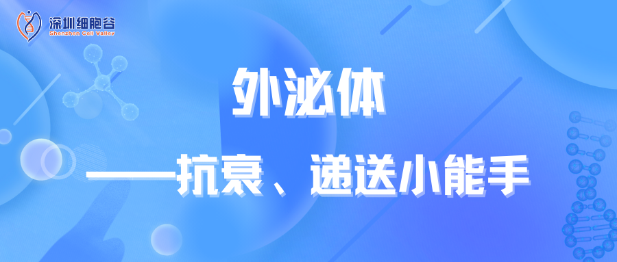 外泌体——抗衰、递送小能手
